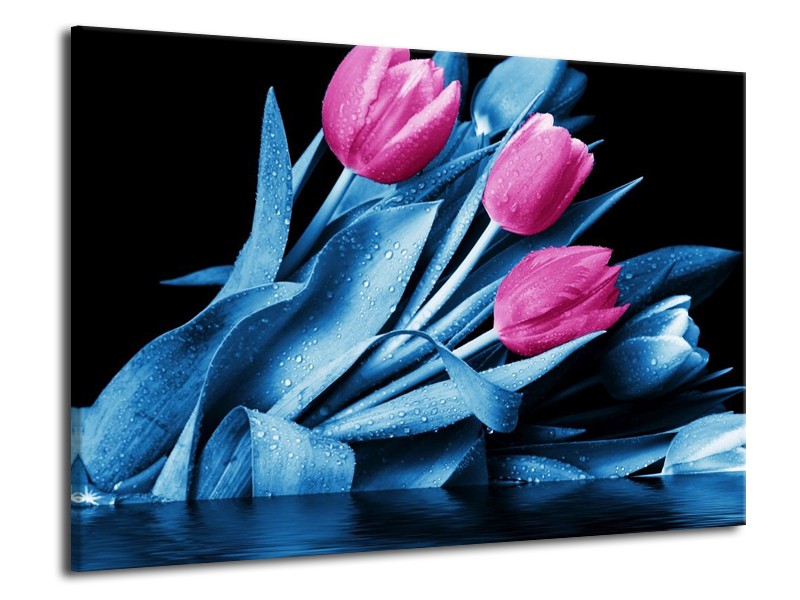 Canvas schilderij Tulp | Paars, Blauw, Zwart | 70x50cm 1Luik