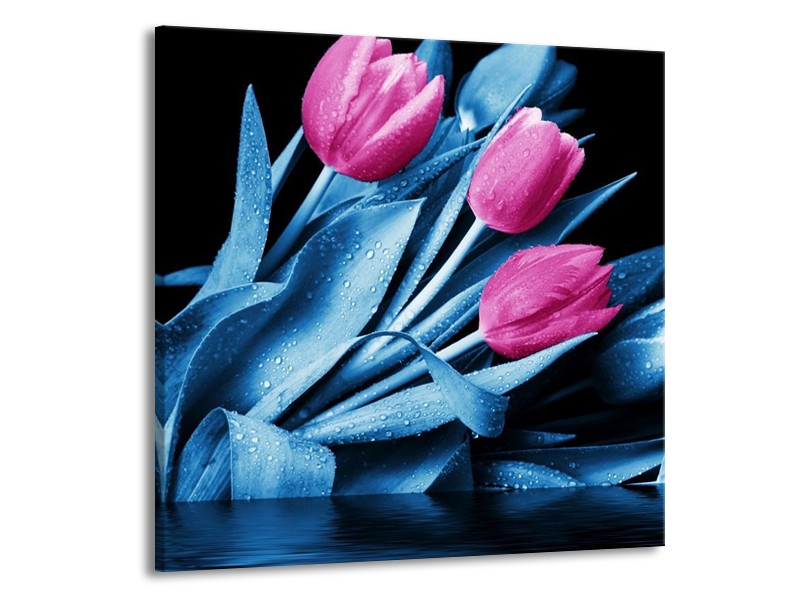 Canvas schilderij Tulp | Paars, Blauw, Zwart | 70x70cm 1Luik