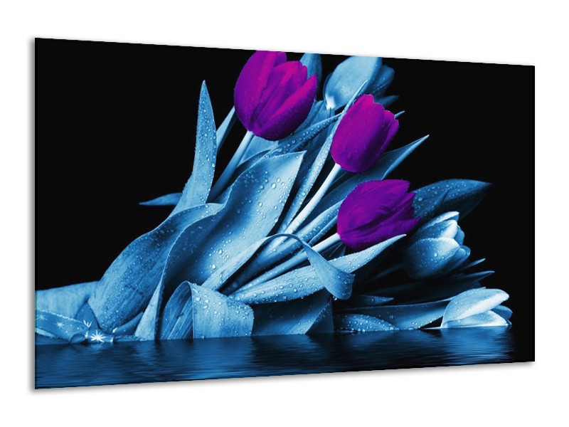 Canvas schilderij Tulp | Paars, Blauw, Zwart | 120x70cm 1Luik