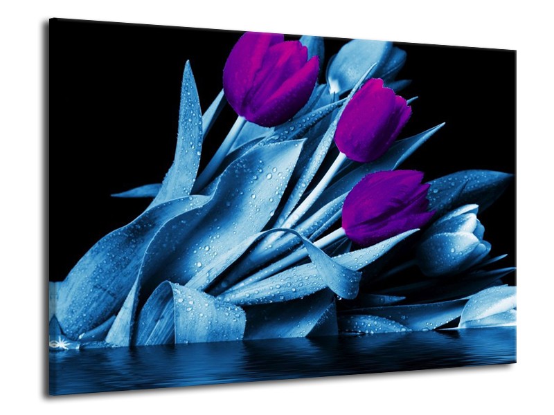 Canvas schilderij Tulp | Paars, Blauw, Zwart | 70x50cm 1Luik