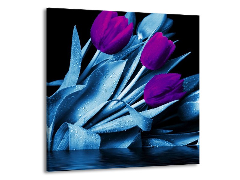 Canvas schilderij Tulp | Paars, Blauw, Zwart | 70x70cm 1Luik