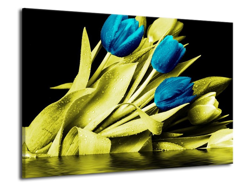 Canvas schilderij Tulp | Blauw, Groen, Zwart | 70x50cm 1Luik