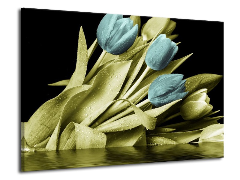 Canvas schilderij Tulp | Blauw, Groen, Zwart | 70x50cm 1Luik