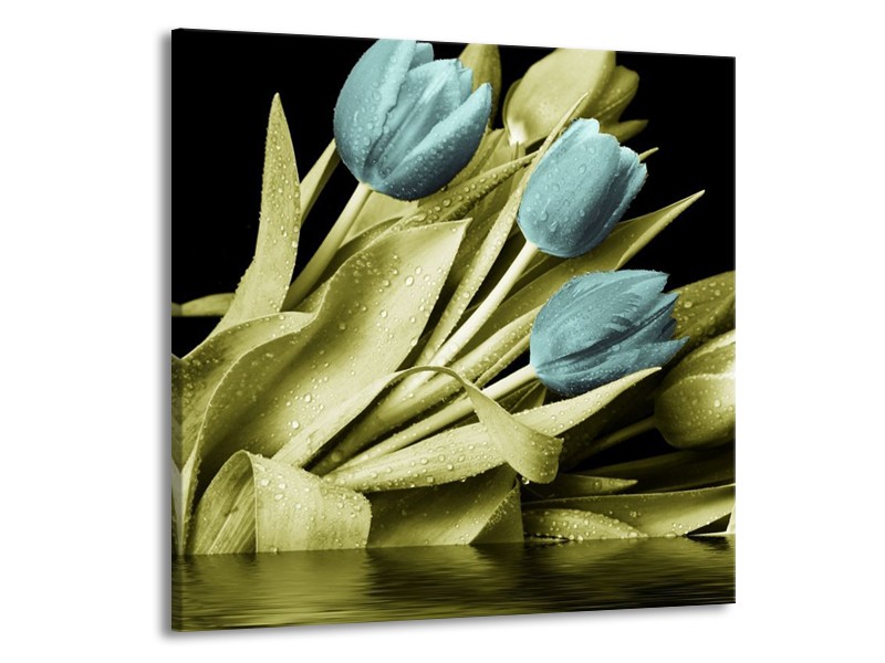 Canvas schilderij Tulp | Blauw, Groen, Zwart | 70x70cm 1Luik