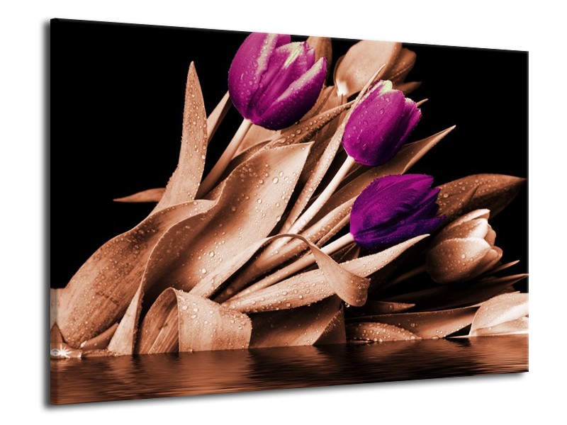 Canvas schilderij Tulp | Bruin, Paars, Zwart | 70x50cm 1Luik