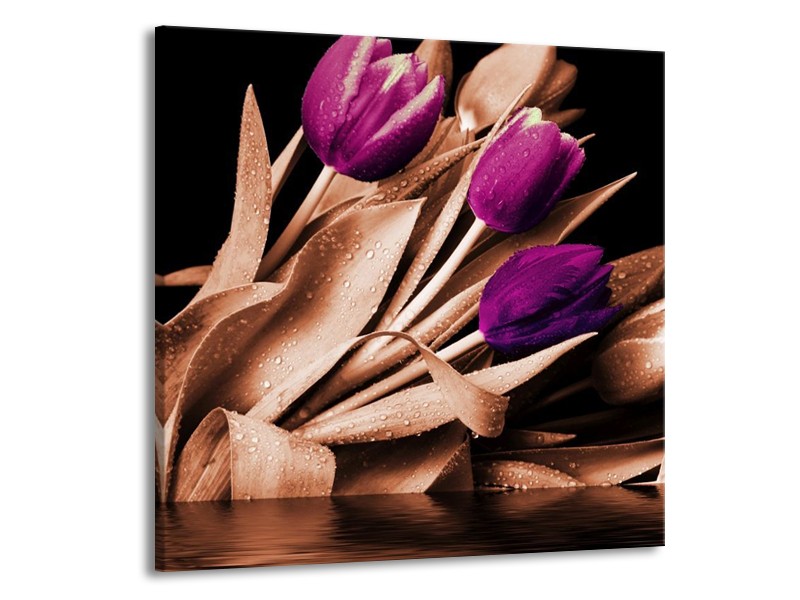 Canvas schilderij Tulp | Bruin, Paars, Zwart | 70x70cm 1Luik