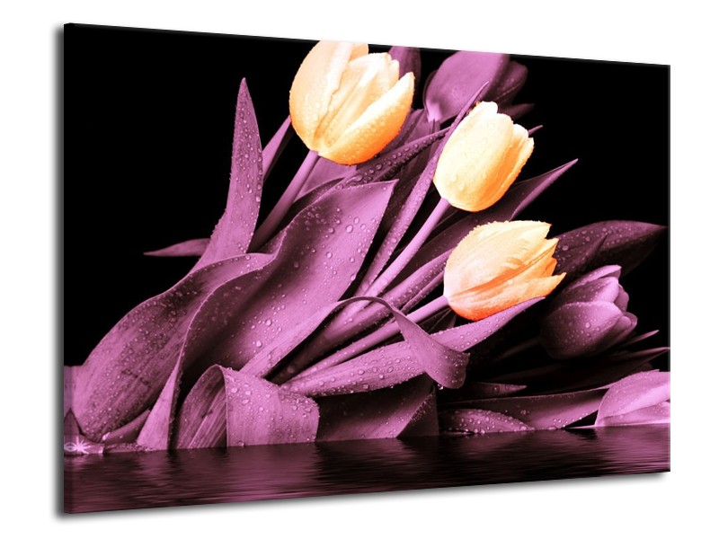Canvas schilderij Tulp | Oranje, Paars, Zwart | 70x50cm 1Luik