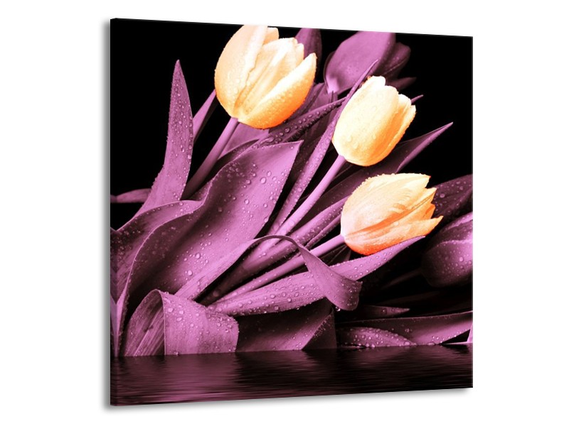 Canvas schilderij Tulp | Oranje, Paars, Zwart | 70x70cm 1Luik
