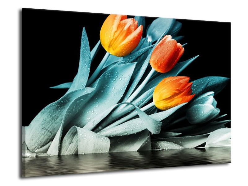 Canvas schilderij Tulp | Oranje, Blauw, Zwart | 70x50cm 1Luik