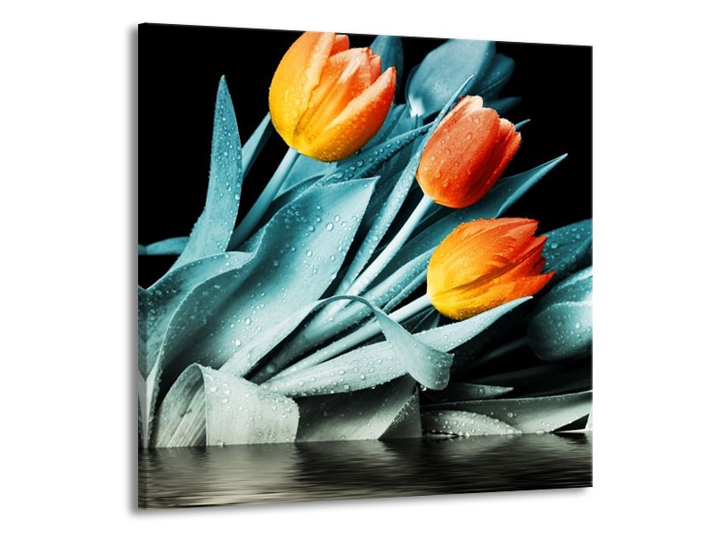 Canvas schilderij Tulp | Oranje, Blauw, Zwart | 70x70cm 1Luik