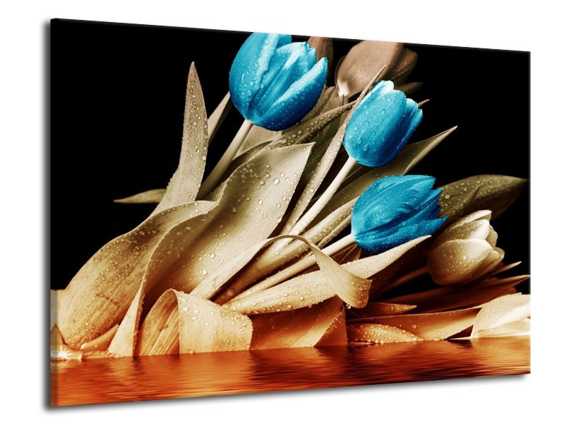 Canvas schilderij Tulp | Blauw, Zwart, Bruin | 70x50cm 1Luik