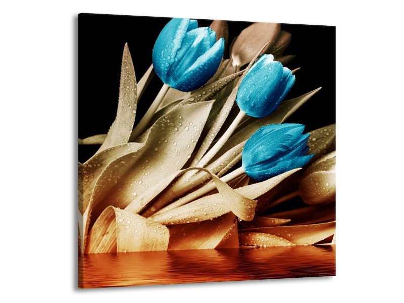 Canvas schilderij Tulp | Blauw, Zwart, Bruin | 70x70cm 1Luik