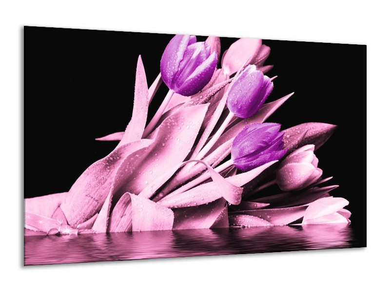 Canvas schilderij Tulp | Paars, Zwart | 120x70cm 1Luik