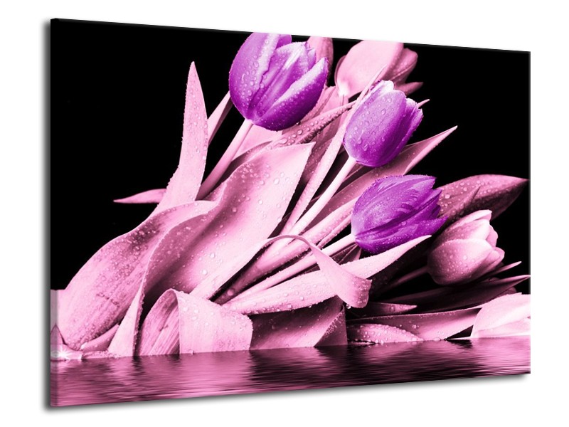 Canvas schilderij Tulp | Paars, Zwart | 70x50cm 1Luik