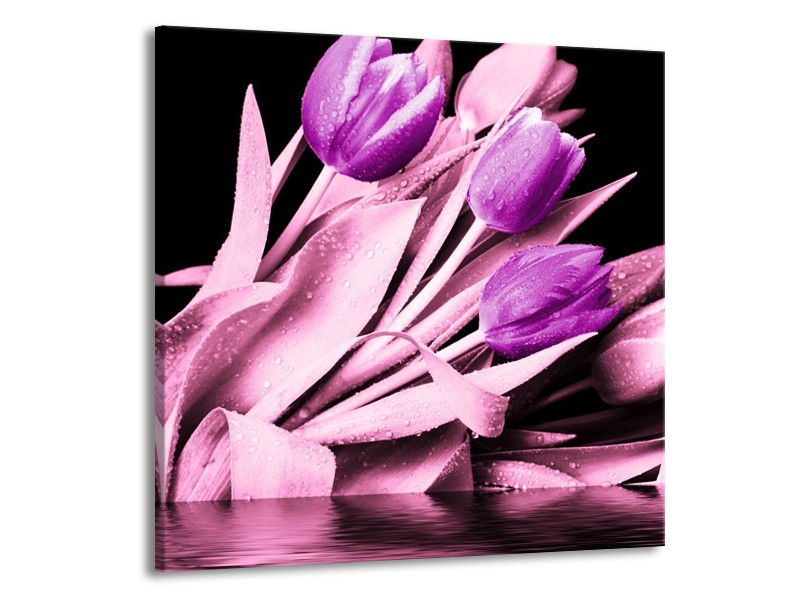Canvas schilderij Tulp | Paars, Zwart | 70x70cm 1Luik
