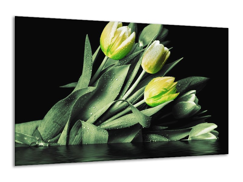 Canvas schilderij Tulp | Groen, Zwart | 120x70cm 1Luik