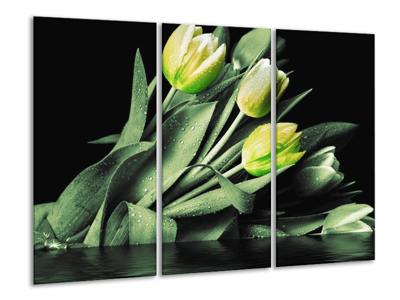 Canvas schilderij Tulp | Groen, Zwart | 120x80cm 3Luik