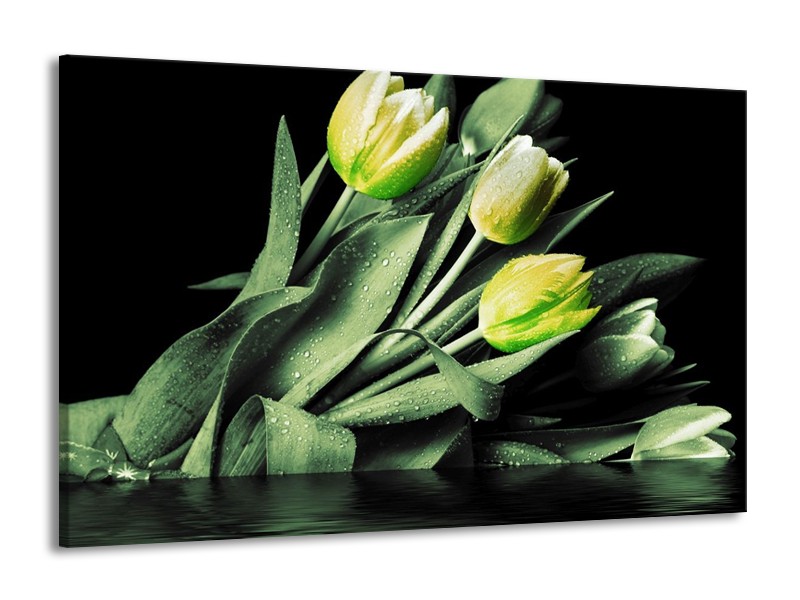 Canvas schilderij Tulp | Groen, Zwart | 140x90cm 1Luik
