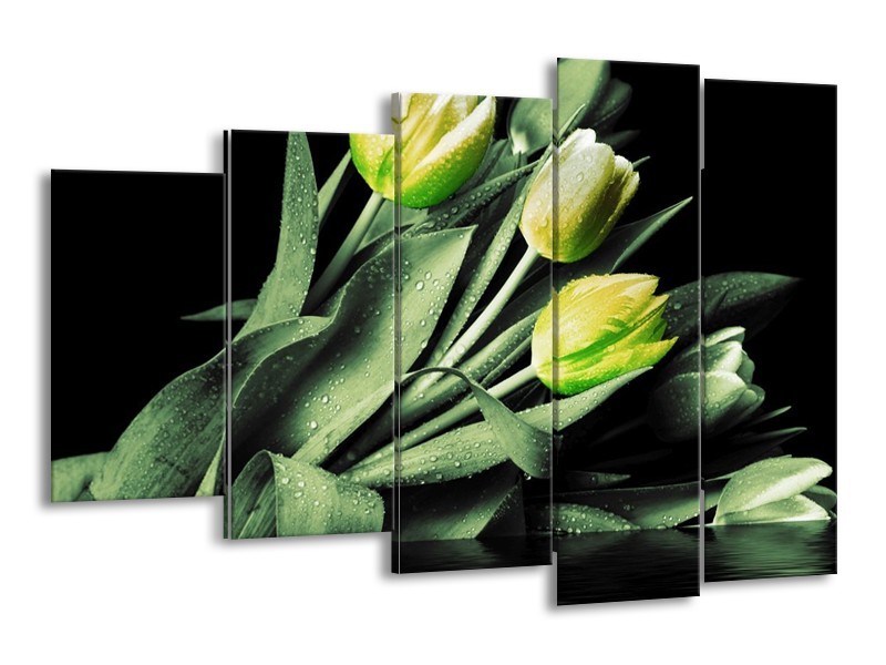 Canvas schilderij Tulp | Groen, Zwart | 150x100cm 5Luik