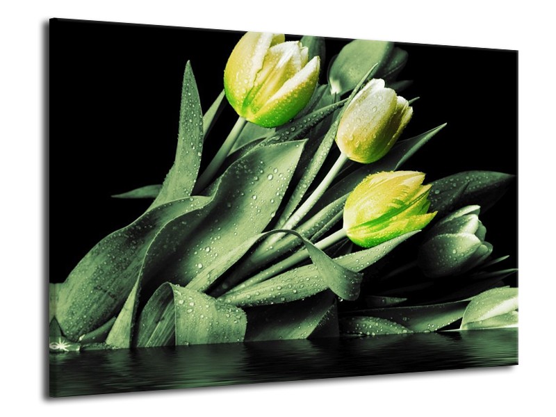 Canvas schilderij Tulp | Groen, Zwart | 70x50cm 1Luik