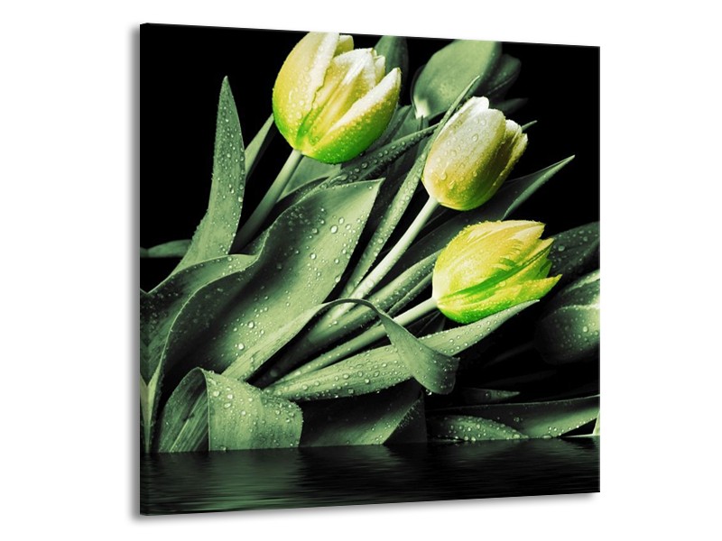 Canvas schilderij Tulp | Groen, Zwart | 70x70cm 1Luik