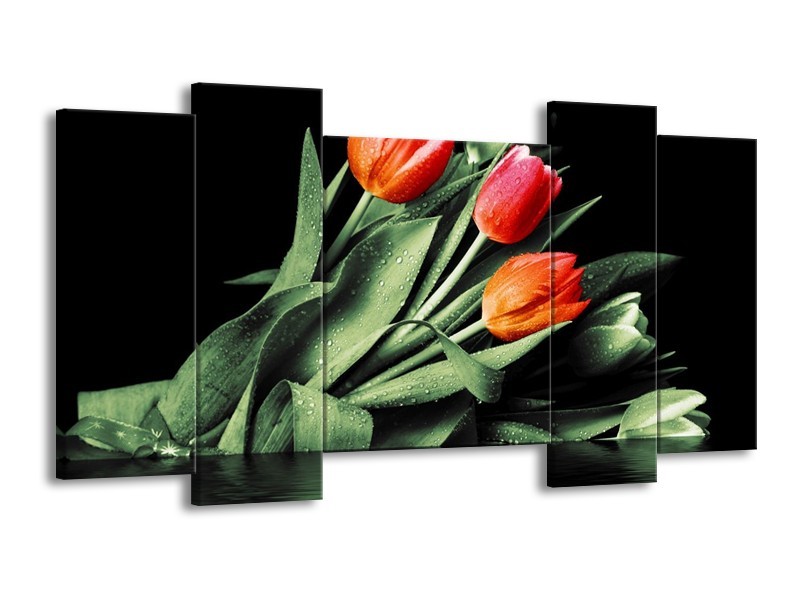 Canvas schilderij Tulp | Rood, Oranje, Groen | 120x65 5Luik