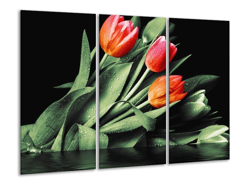 Canvas schilderij Tulp | Rood, Oranje, Groen | 120x80cm 3Luik
