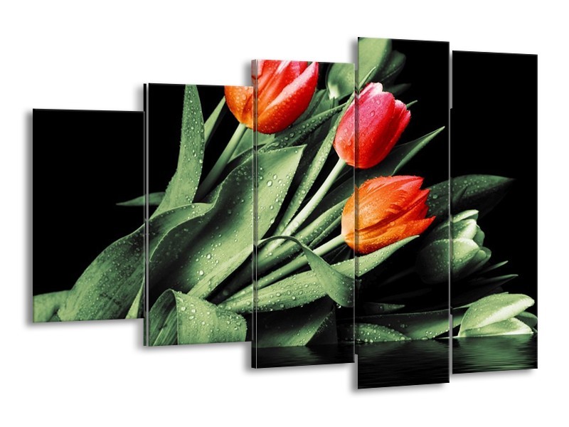 Canvas schilderij Tulp | Rood, Oranje, Groen | 150x100cm 5Luik