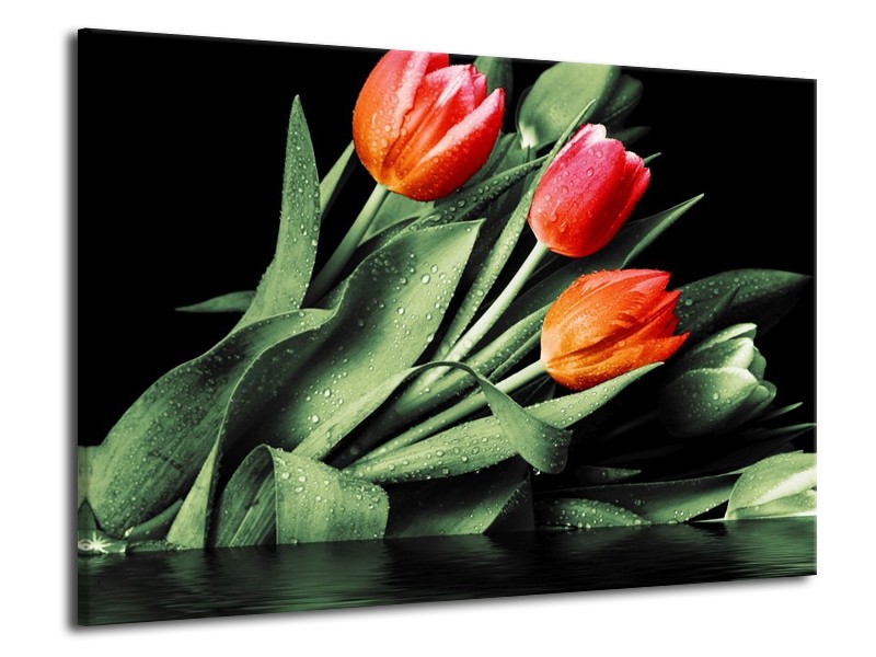 Canvas schilderij Tulp | Rood, Oranje, Groen | 70x50cm 1Luik