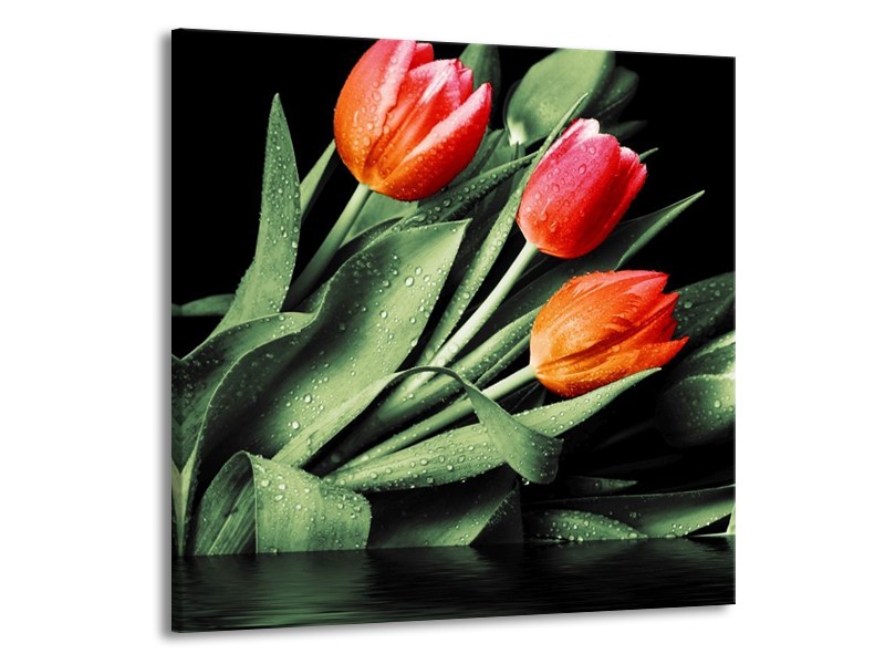 Canvas schilderij Tulp | Rood, Oranje, Groen | 70x70cm 1Luik