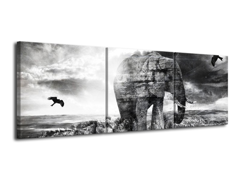 Canvas schilderij Olifant | Grijs, Zwart, Wit | 120x40cm 3Luik