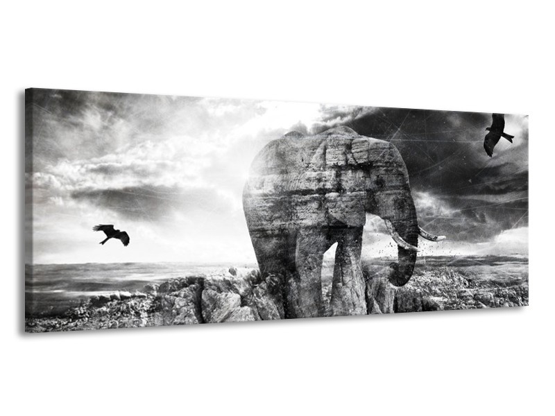 Canvas schilderij Olifant | Grijs, Zwart, Wit | 145x58cm 1Luik
