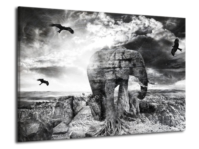 Canvas schilderij Olifant | Grijs, Zwart, Wit | 70x50cm 1Luik