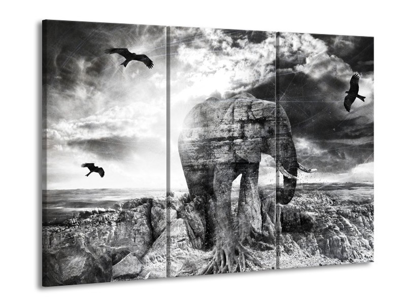 Canvas schilderij Olifant | Grijs, Zwart, Wit | 90x60cm 3Luik