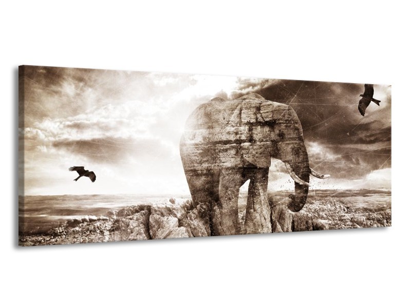 Canvas schilderij Olifant | Grijs, Wit | 145x58cm 1Luik
