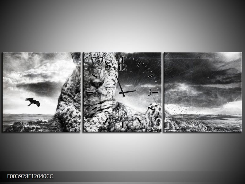 Klok schilderij Natuur | Grijs, Wit, Zwart | 120x40cm 3Luik