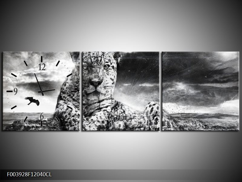 Klok schilderij Natuur | Grijs, Wit, Zwart | 120x40cm 3Luik