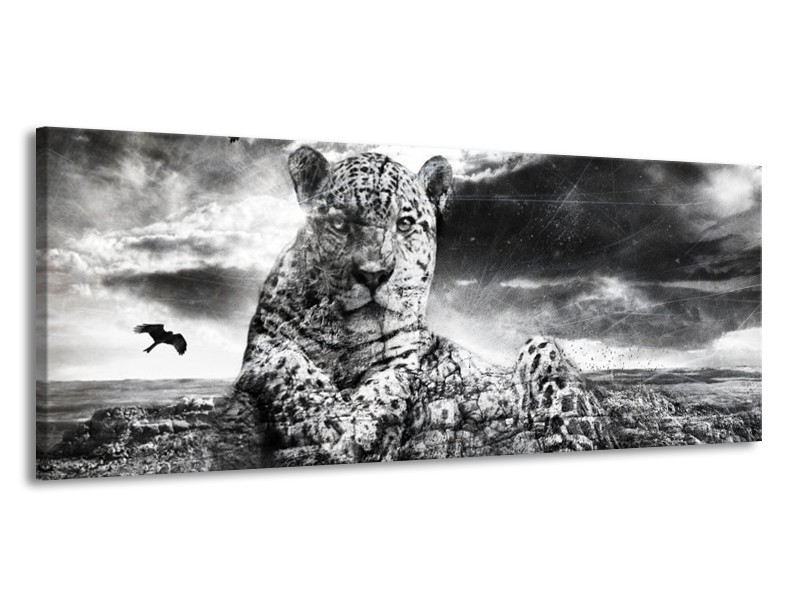 Canvas schilderij Natuur | Grijs, Wit, Zwart | 145x58cm 1Luik