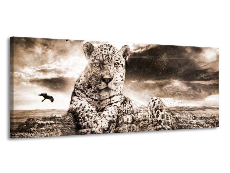 Canvas schilderij Natuur | Grijs, Wit | 145x58cm 1Luik