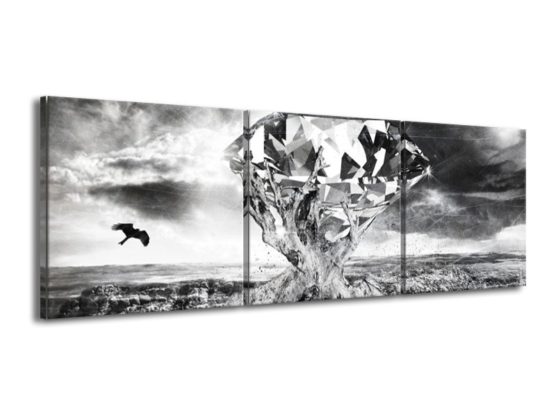 Canvas schilderij Steen | Grijs, Zwart, Wit | 150x50cm 3Luik