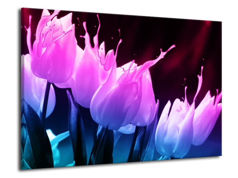 Canvas schilderij Tulp | Paars, Roze, Blauw | 70x50cm 1Luik