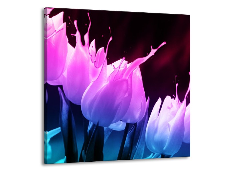Canvas schilderij Tulp | Paars, Roze, Blauw | 70x70cm 1Luik