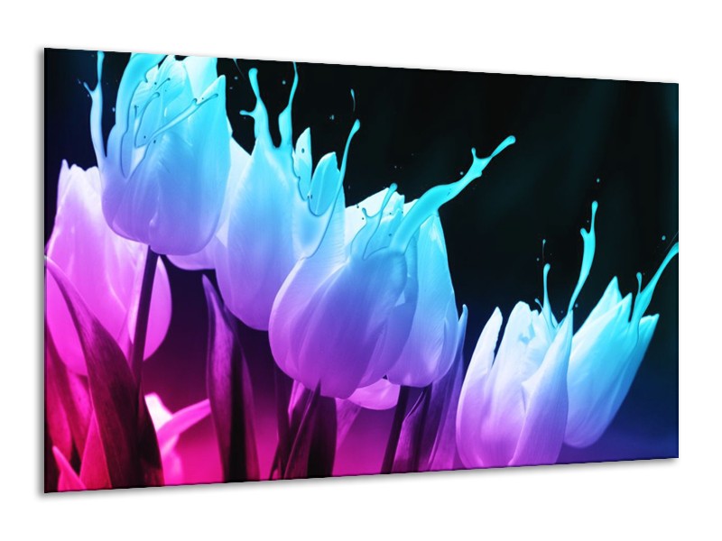 Canvas schilderij Tulp | Blauw, Paars, Roze | 120x70cm 1Luik
