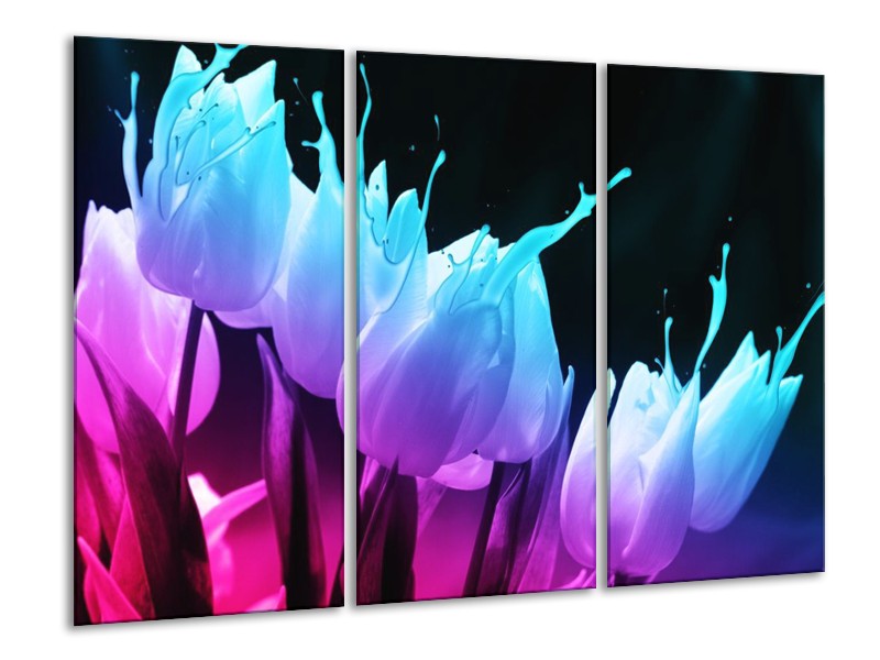 Canvas schilderij Tulp | Blauw, Paars, Roze | 120x80cm 3Luik