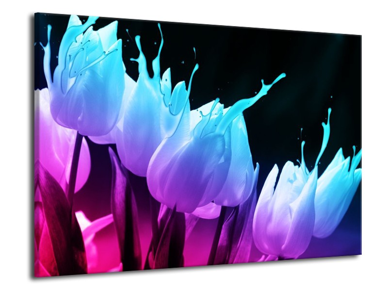 Canvas schilderij Tulp | Blauw, Paars, Roze | 70x50cm 1Luik