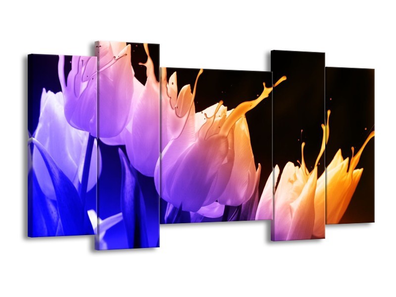 Canvas schilderij Tulp | Oranje, Paars, Blauw | 120x65 5Luik
