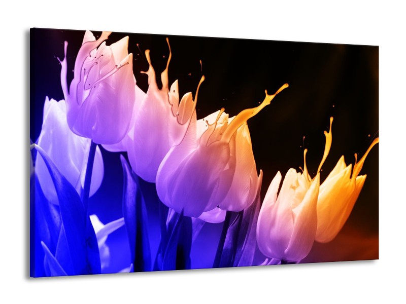 Canvas schilderij Tulp | Oranje, Paars, Blauw | 140x90cm 1Luik