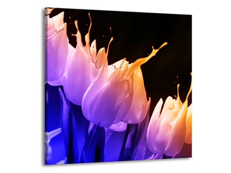 Canvas schilderij Tulp | Oranje, Paars, Blauw | 70x70cm 1Luik