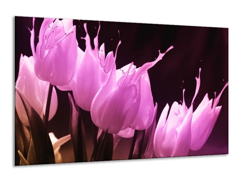 Canvas schilderij Tulp | Roze, Zwart | 120x70cm 1Luik