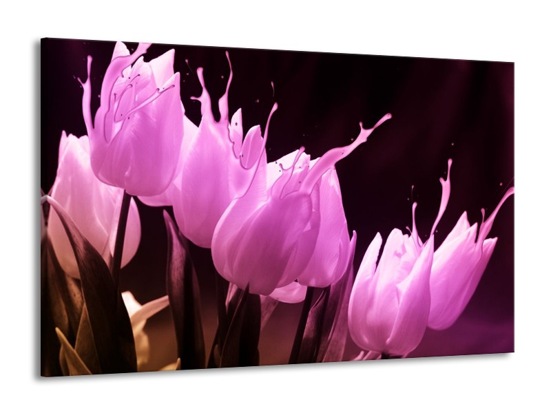 Canvas schilderij Tulp | Roze, Zwart | 140x90cm 1Luik